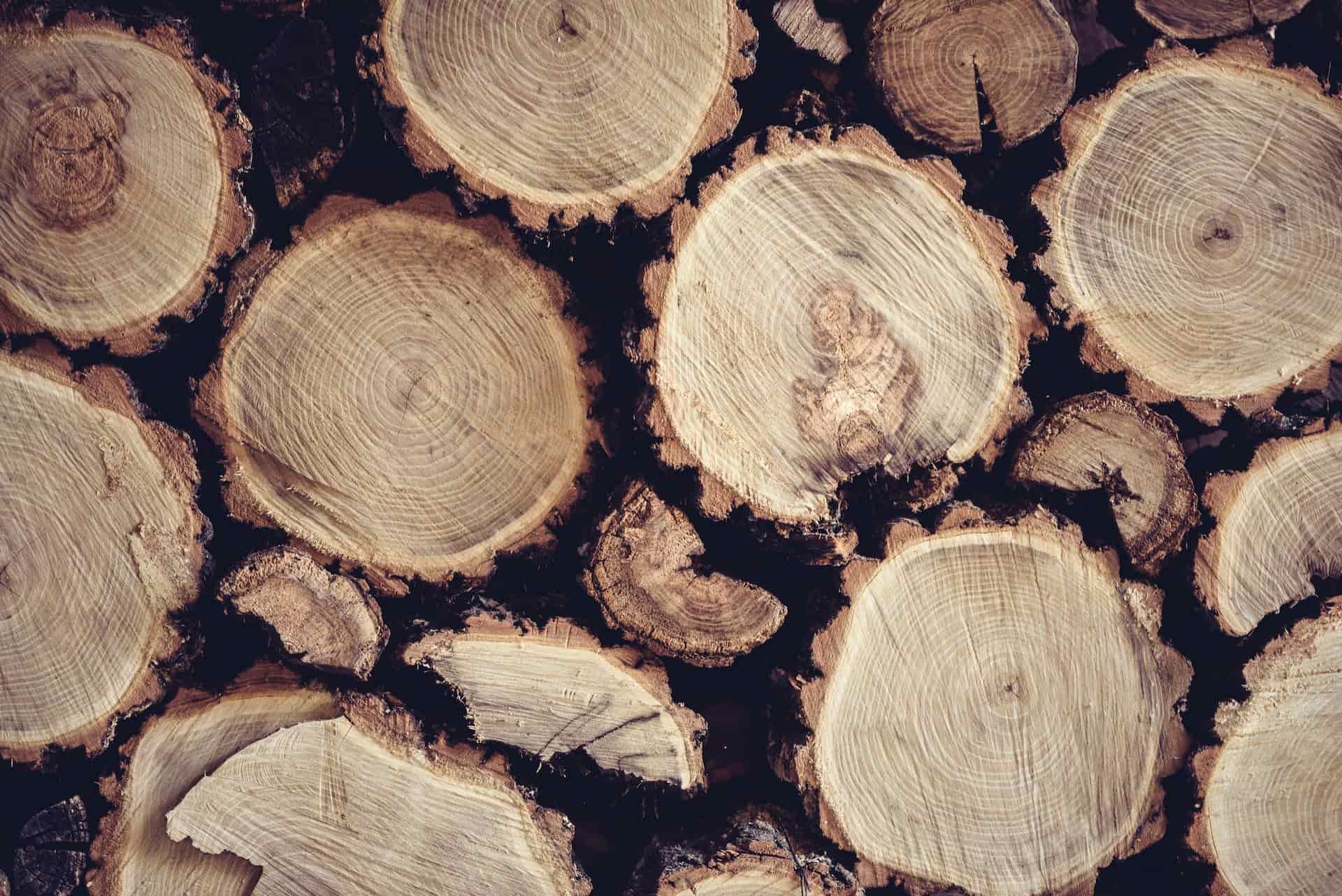 Le chêne est une essence de bois à privilégier pour se chauffer