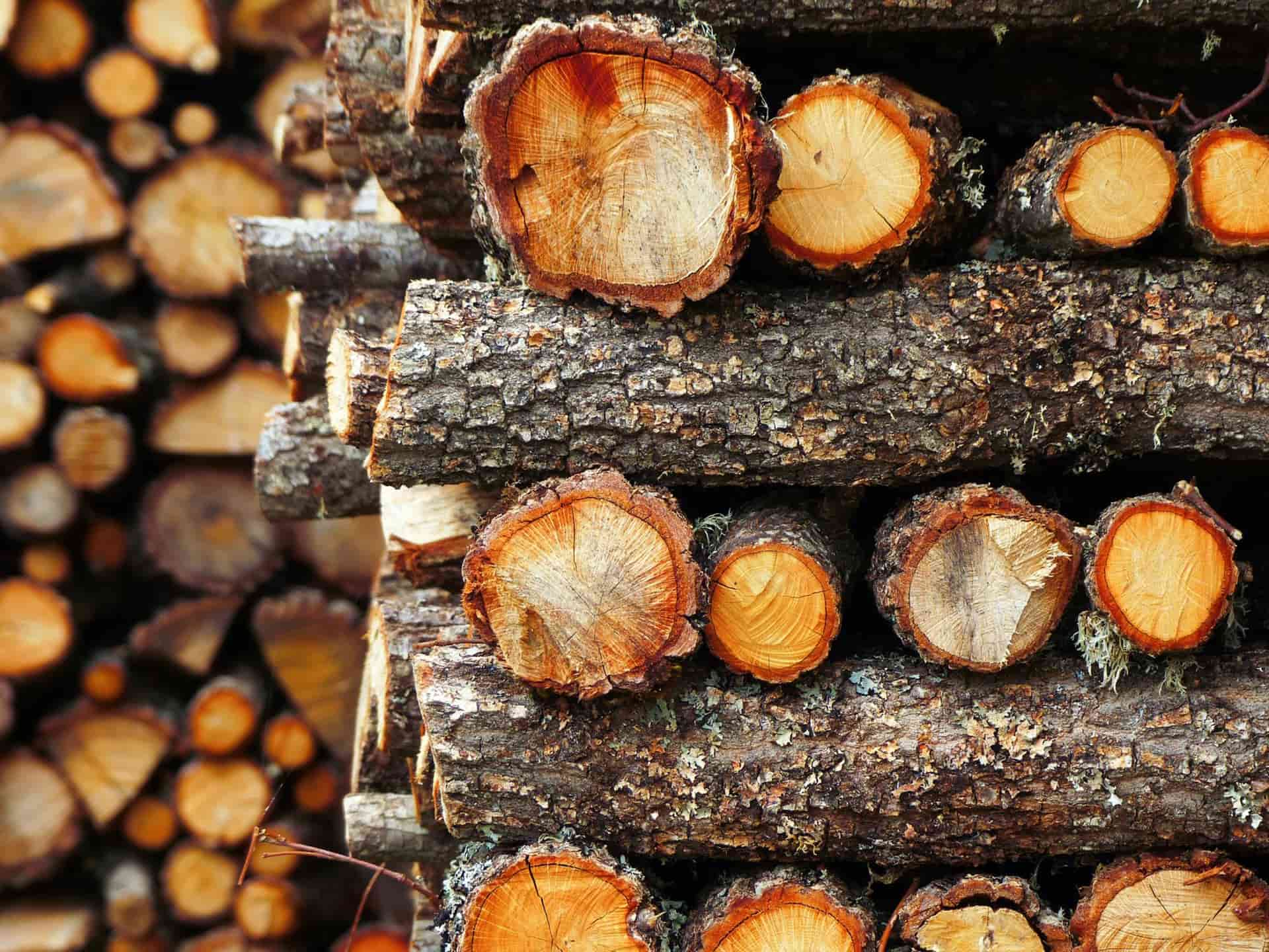 Conseils pour le stockage du bois de chauffage